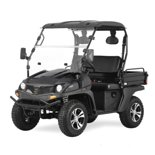 200CC UTV with High-Low speed BLACK